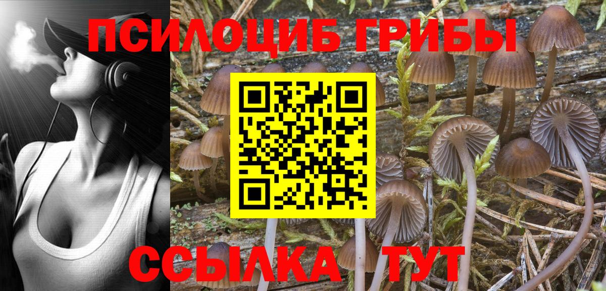 NBOMe  ГАШИШ  Наркошоп  Альфа ПВП СК кристаллы  Котовск  ТГК  МДМА  Вход с VPN  ГАШ  Лсд 25  Кокаин  Меф кристаллы 