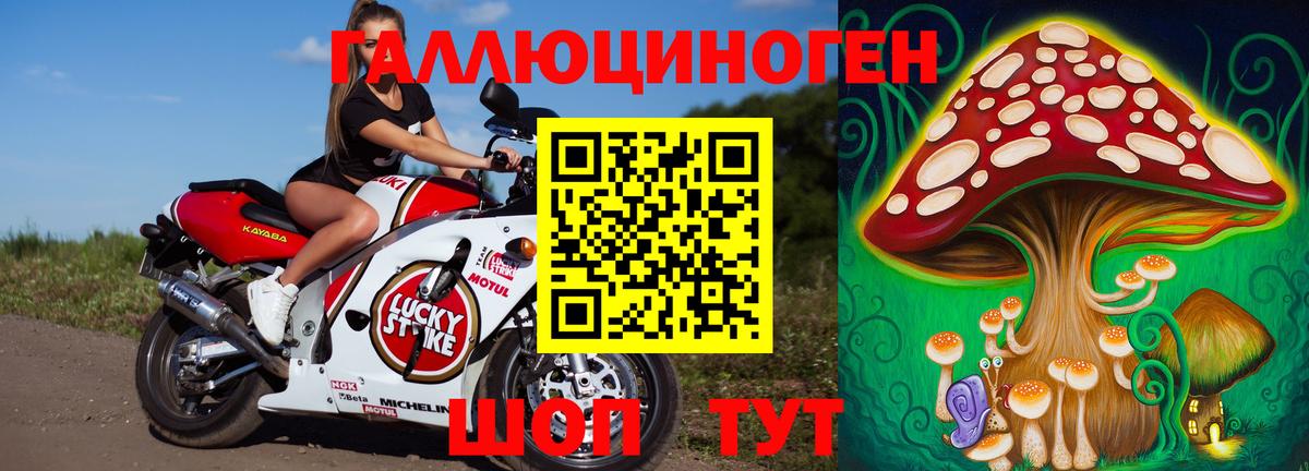 Котовск  Псилоцибиновые грибы Magic Shrooms  Псилоцибиновые грибы GOLDEN TEACHER  Вход с VPN 